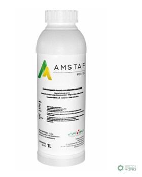 AMSTAF 800 EC 1L AMSTAF 800 EC 1L