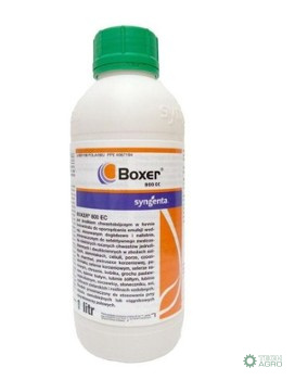 BOXER 800 EC 1L. BOXER 800 EC 1L.