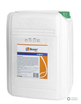 BOXER 800 EC 20L BOXER 800 EC 20L