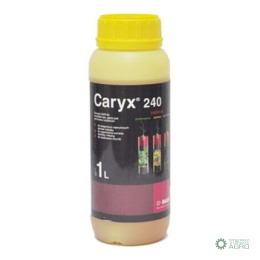 CARYX 240 SL 1L.