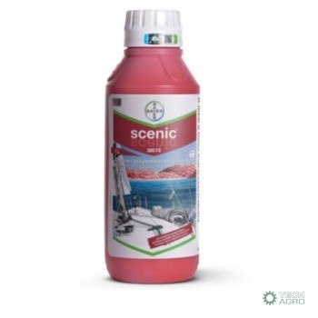 SCENIC 080 FS 1L. SCENIC 080 FS 1L.
