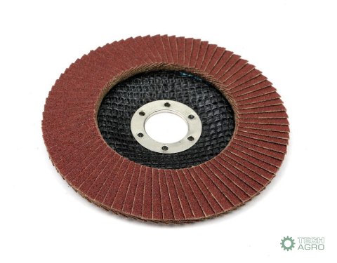 Tarcza do szlifierki 125 mm lamelkowa z elektrokorundem GR80 (sprzedawana po 10 szt.) Waryński Tarcza do szlifierki 125 mm lamelkowa z elektrokorundem GR80 (sprzedawana po 10 szt.) Waryński