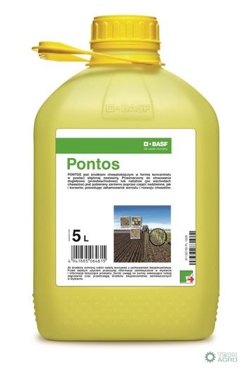 PONTOS 5L PONTOS 5L