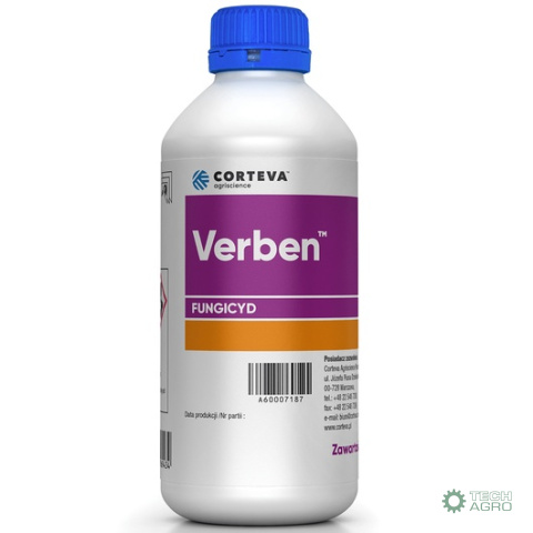 VERBEN 1L VERBEN 1L