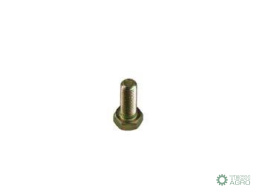 Śruba pokrywy rozrządu 0746214 5/16x13/16 MF3