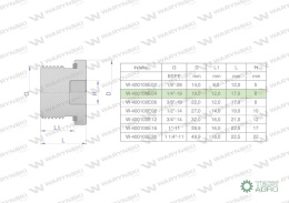 Korek hydrauliczny calowy (na imbus) 1/4