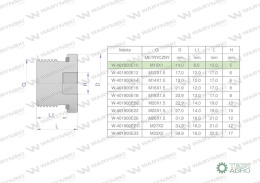 Korek hydrauliczny metryczny (na imbus) M10x1 ED Waryński