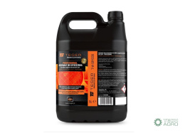 Preparat do czyszczenia filtrów cząstekstałych DPF/FAP - PROFESSIONAL, 5l, Teger