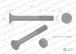 Śruba kpl. płużna podsadzana D 608 M12x100 mm kl.12.9 Waryński