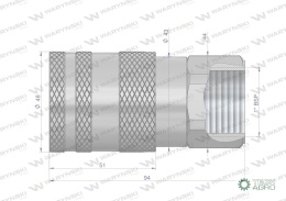 Szybkozłącze hydrauliczne suchoodcinające (rozmiar 3/4) gniazdo G1