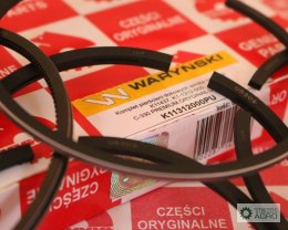 KPL.PIERŚCIENI TŁ. C360 1TŁ. URSUS PREMI