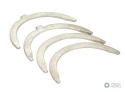 Komplet półpierścieni (pierwszy szlif) N-0,25 80002041 C-385 ORYGINAŁ URSUS