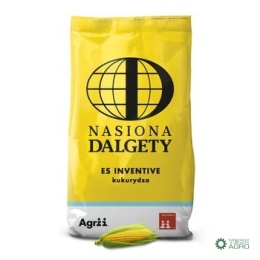 Kukurydza Es Inventive C1 80 tys.nasion Korit 420 FS