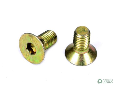 Śruba talerza M12x26 - imbus 10 Kosiarka rotacyjna Waryński ( sprzedawane po 10kg ) Śruba talerza M12x26 - imbus 10 Kosiarka rotacyjna Waryński ( sprzedawane po 10kg )