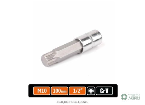 Klucz nasadowy 1/2" z bitem SPLINE 100 mm/M10 / TEGER Klucz nasadowy 1/2" z bitem SPLINE 100 mm/M10 / TEGER