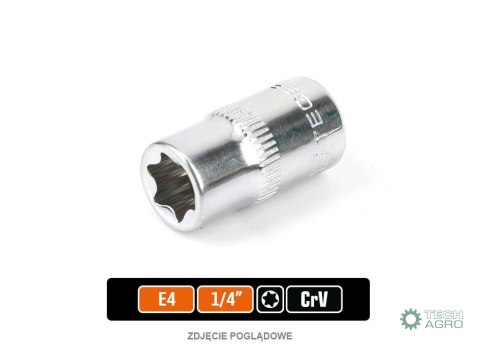 Klucz nasadowy 1/4" TORX E4 / TEGER Klucz nasadowy 1/4" TORX E4 / TEGER