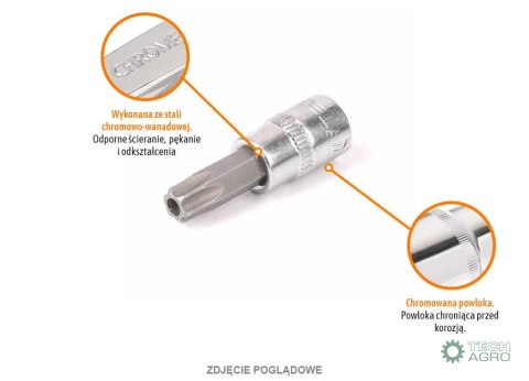 Klucz nasadowy 1/4" z bitem TORX 37 mm/T10 / (z otworem) / TEGER Klucz nasadowy 1/4" z bitem TORX 37 mm/T10 / (z otworem) / TEGER